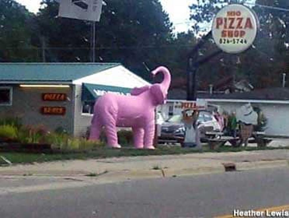 Michigan&#8217;s Trail Of Giant Pink Elephants