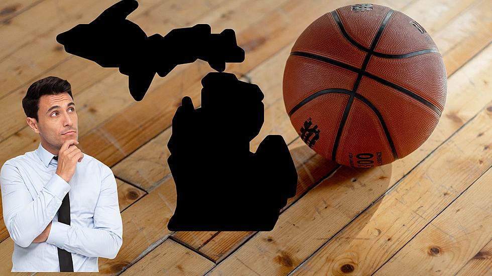 Which Michigan Cities Produced the Most NBA Players?