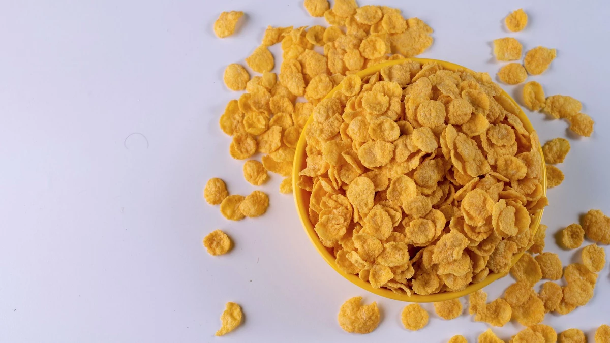 Cereal Festival 2025