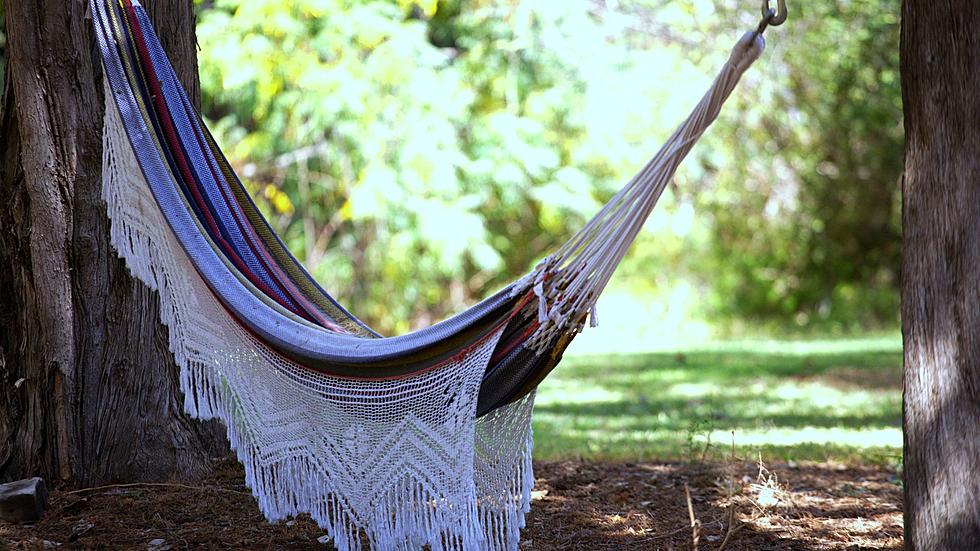 Hang Time: The Best Places To Hammock In Kalamazoo