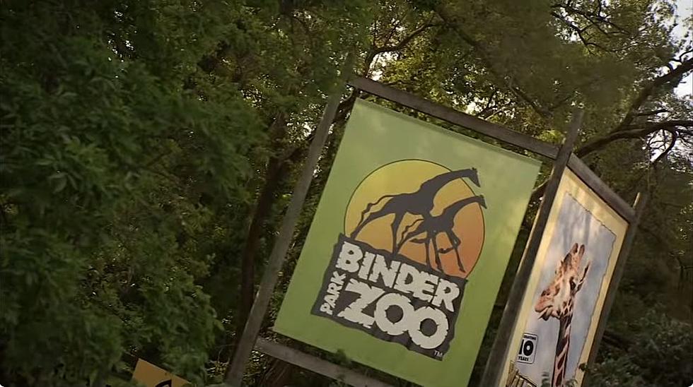 Binder Park Zoo To Hosts Fall Theme Nights In October
