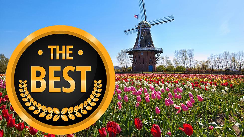 Holland Named Best Small City In Michigan