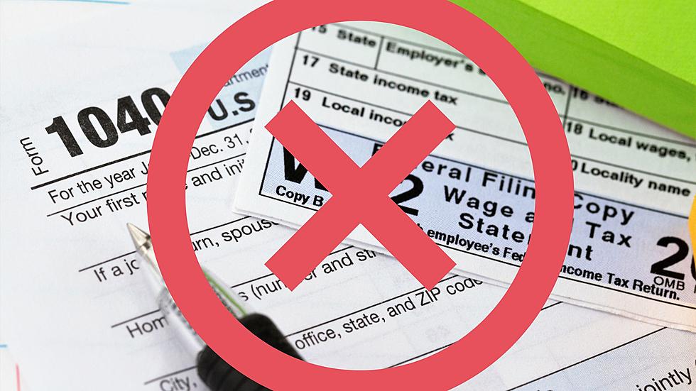 Should Michigan Eliminate State Income Tax?