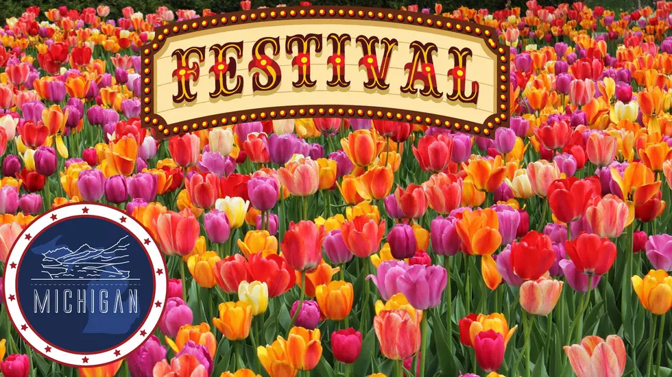 Time For Tulips! Prepare For Michigan&#8217;s Tulip Time Festival