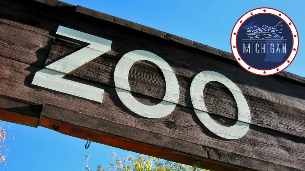 Michigan Zoo Is The 6th Largest In America