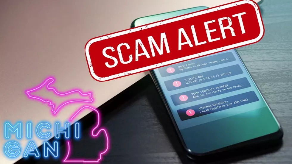 24 Scam Texts All Michigan Residents Should Ignore
