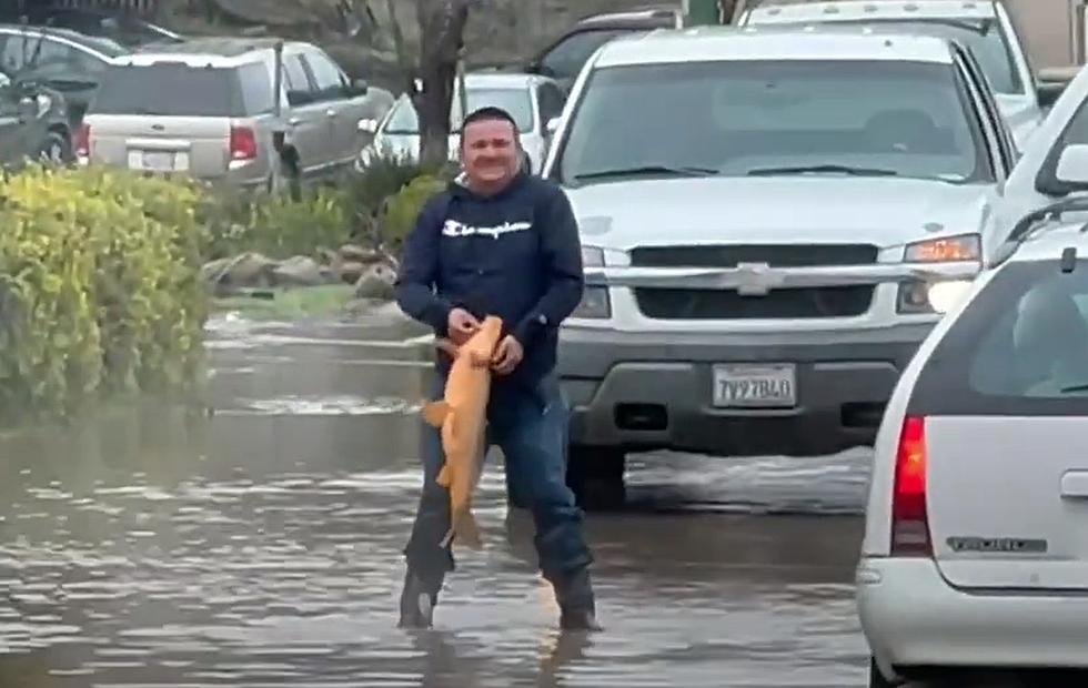 Watch California Man Catch a Huge Fish During Historic Flooding