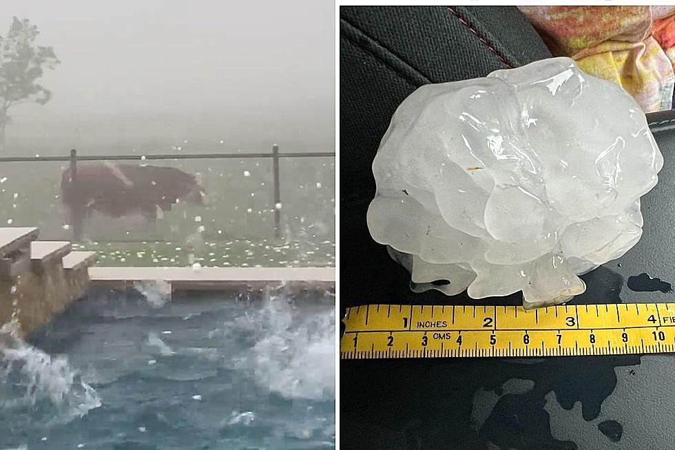 Hailstones as Big as Softballs Hit Small Texas Town, Bulls Flee