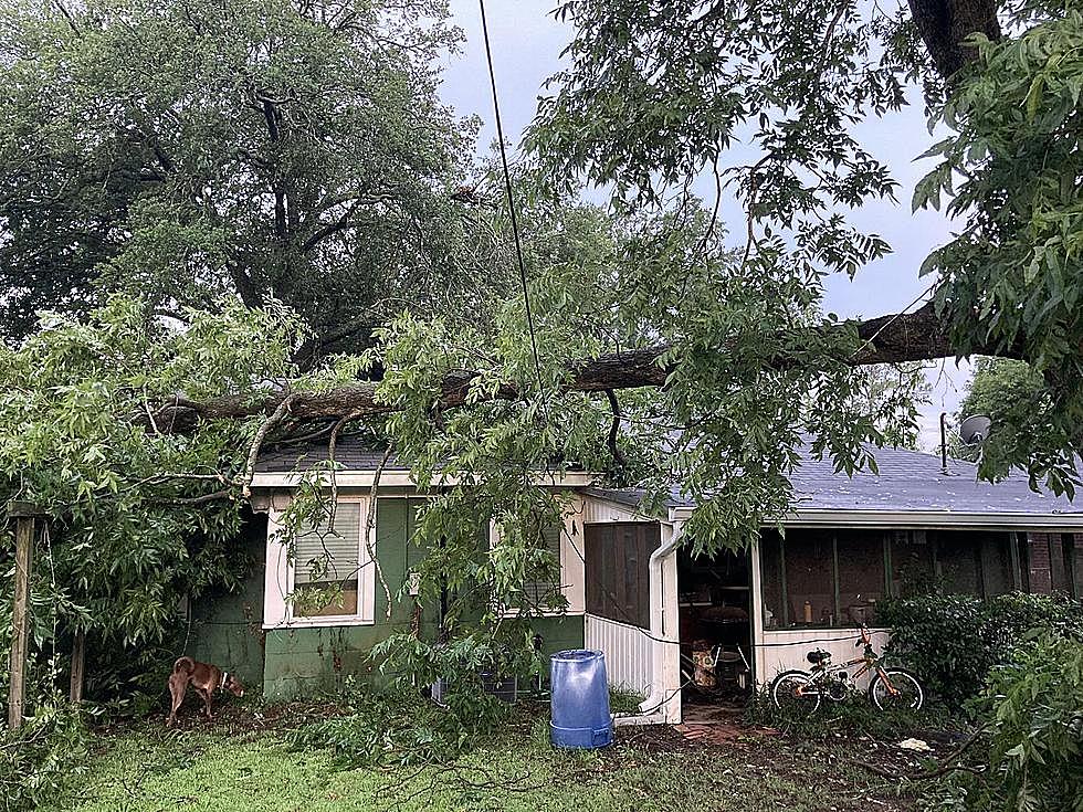 See the Damage Hurricane-Force Winds Did to Shreveport, Louisiana