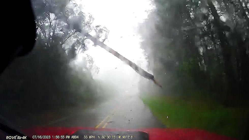 Louisiana Driver Dash Cam Shows Storm Snap Tree Onto His Vehicle