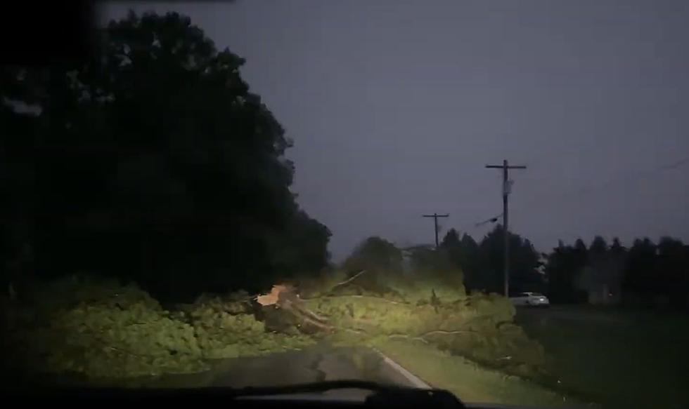 Storm Chaser Shows Damage from Tornado that Roared Thru Michigan