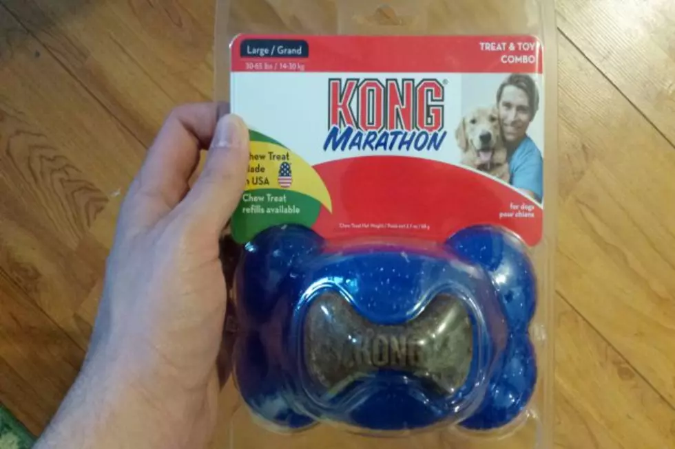 Koda’s Toy Review – Kong Marathon