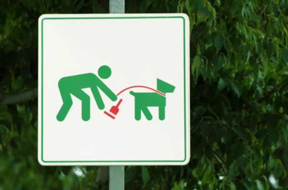 A Better Way to Scoop Your Dog&#8217;s Poop