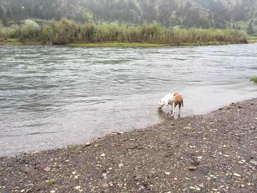 Fishing the Mighty Mo Over the Weekend