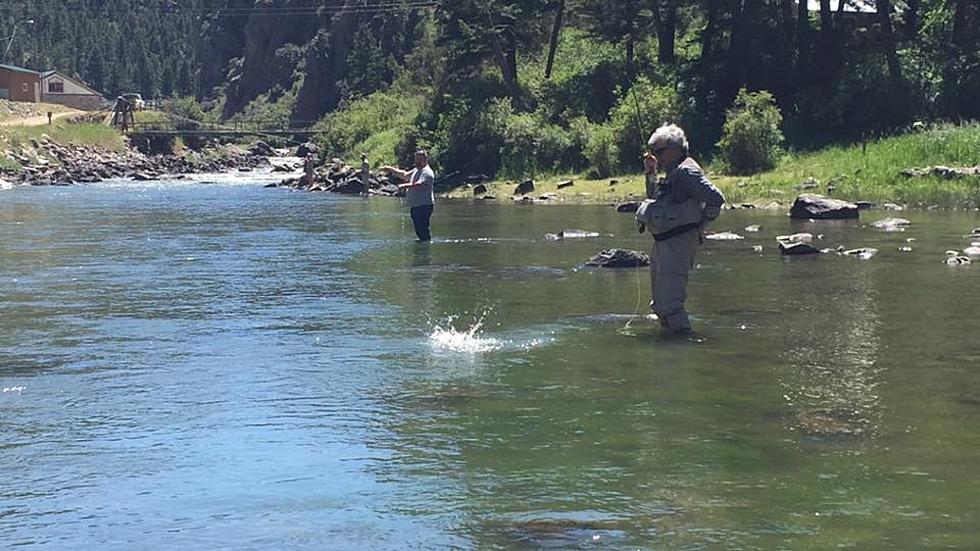 Fly Fishing the Lower/Upper Madison River