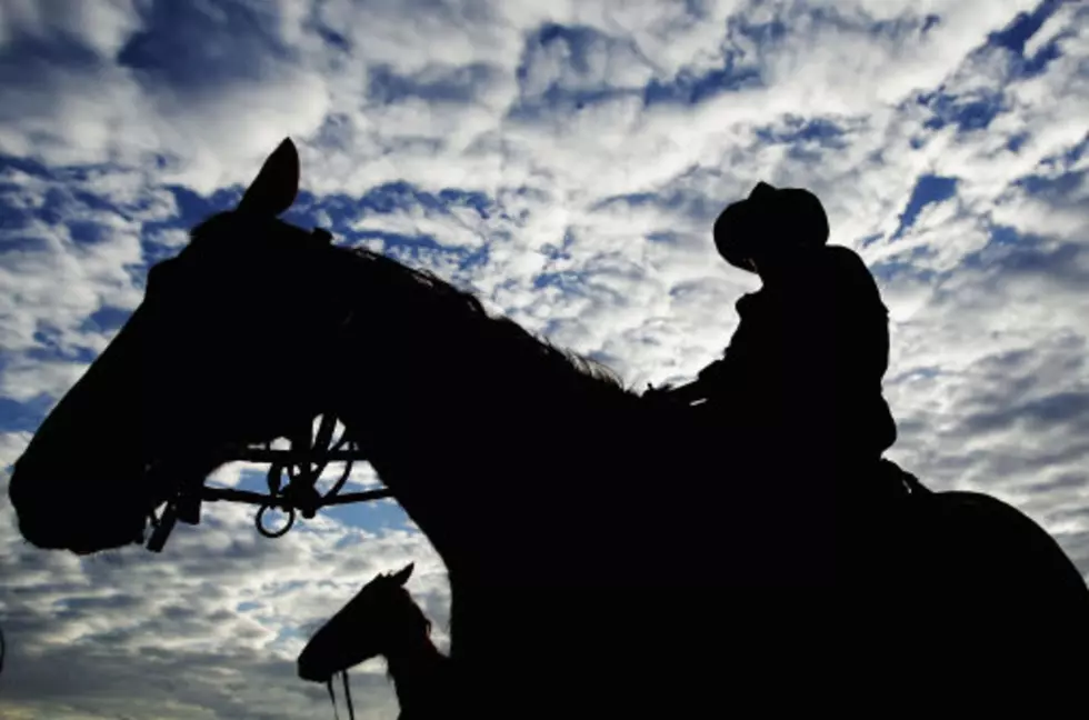 Extreme Horse Challenge for Tough Enough to Wear Pink Montana