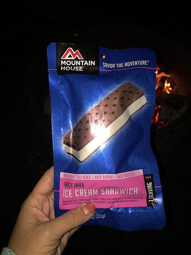 Freeze Dried Ice Cream for Camping