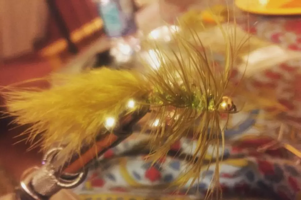 Community Fly Tying Nights Are Back! Free and Fun Nov 10th