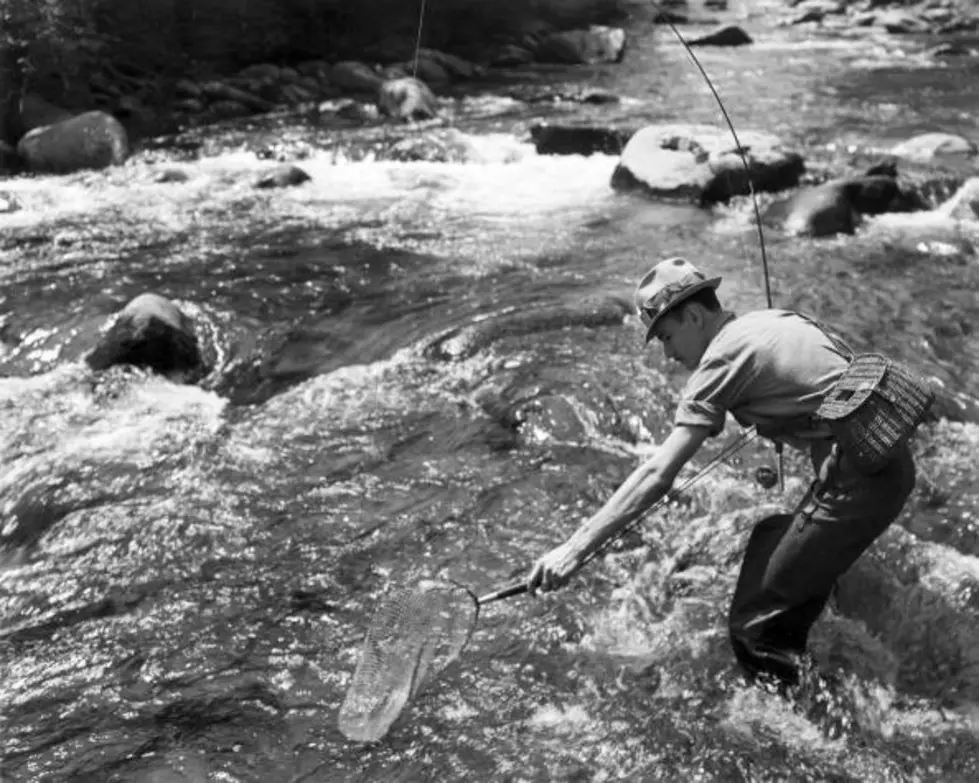 Trout Unlimited Meeting in Missoula Wednesday, Veterans Day Special