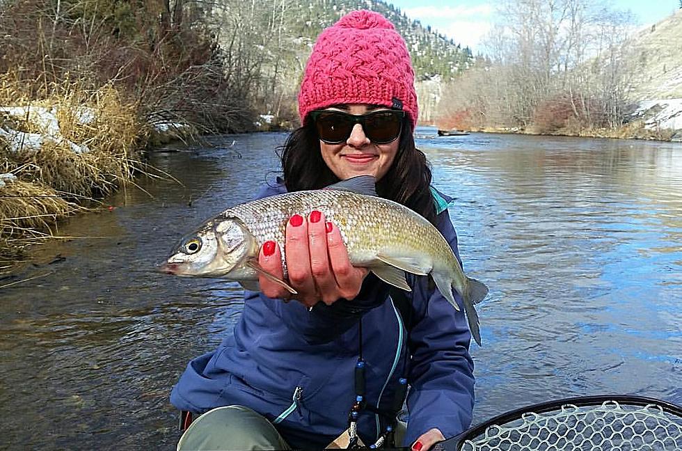Two Gals Winter Fly Fishing in Western Montana (Photos)