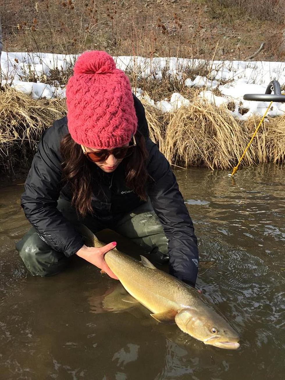 Caught the Biggest Fish of My Life on a Fly Rod, Feeling Thankful