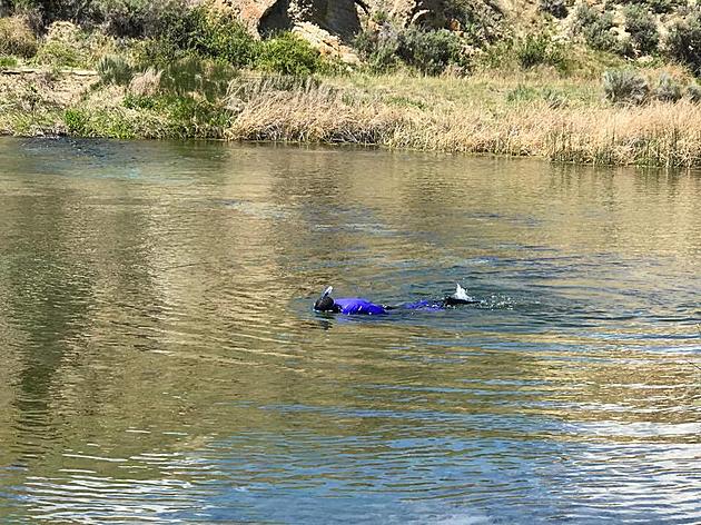 Montana River Snorkeling, Guy Snorkels in the Beaverhead