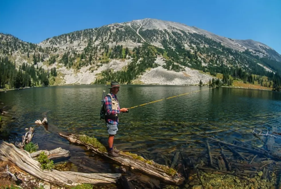 Are You Really, Totally Licensed to Fish in Montana?