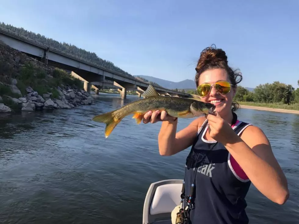 Catching My First &#8216;Northern Pikeminnow&#8217; on My Fly Rod