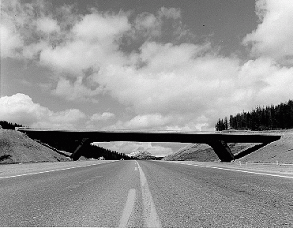 The Longest Highway in Montana