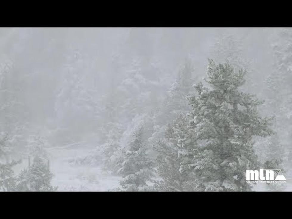 Snowfall in September in Montana (Video)
