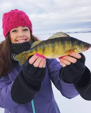 An Amazing Day Ice Fishing, 40 Plus Fish!