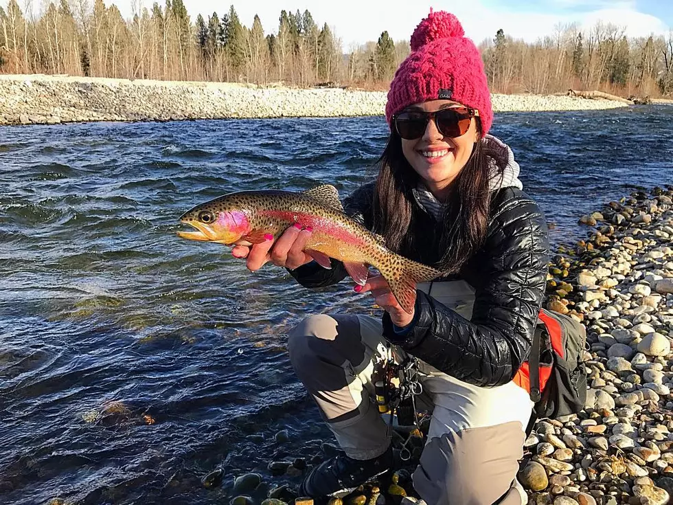 60 Degree Day on the Bitterroot in January Fly Fishing