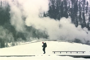 How Much Snow Does Yellowstone National Park Get Every Year?