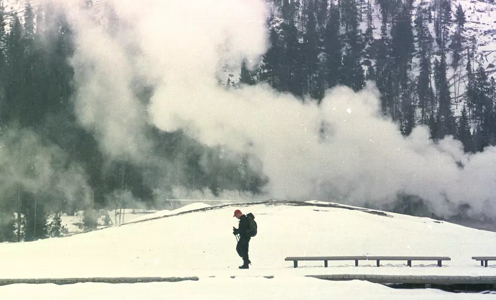 How Much Snow Does Yellowstone National Park Get Every Year?