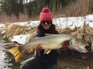 Anniversary of The Big Bull Trout on the Blackfoot