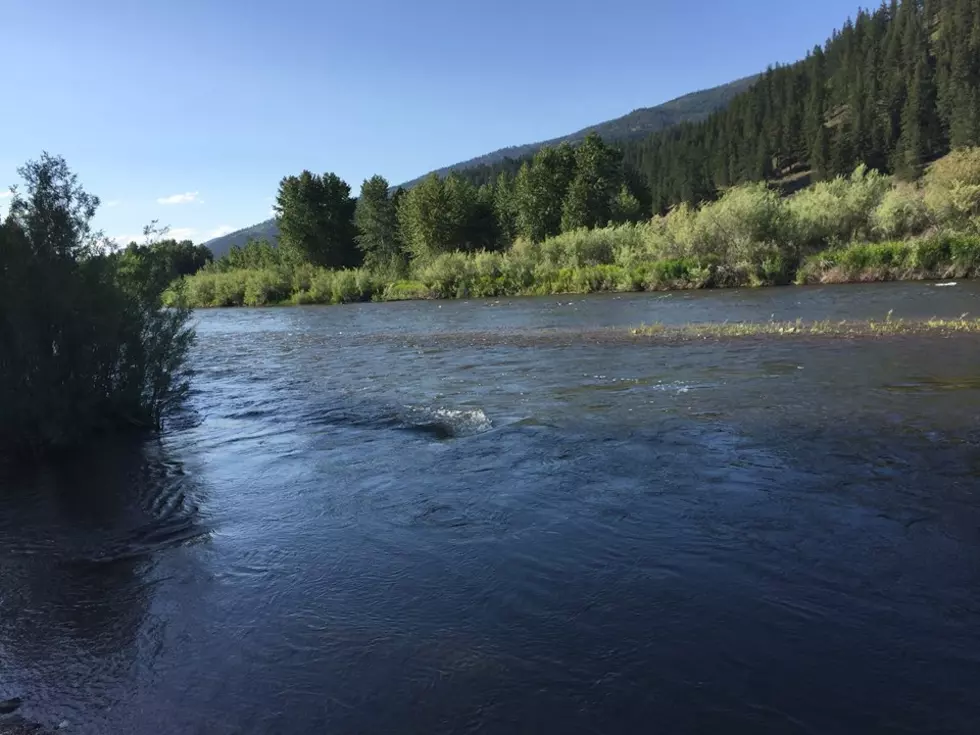 My Top 3 Places for Summer Fun in Missoula