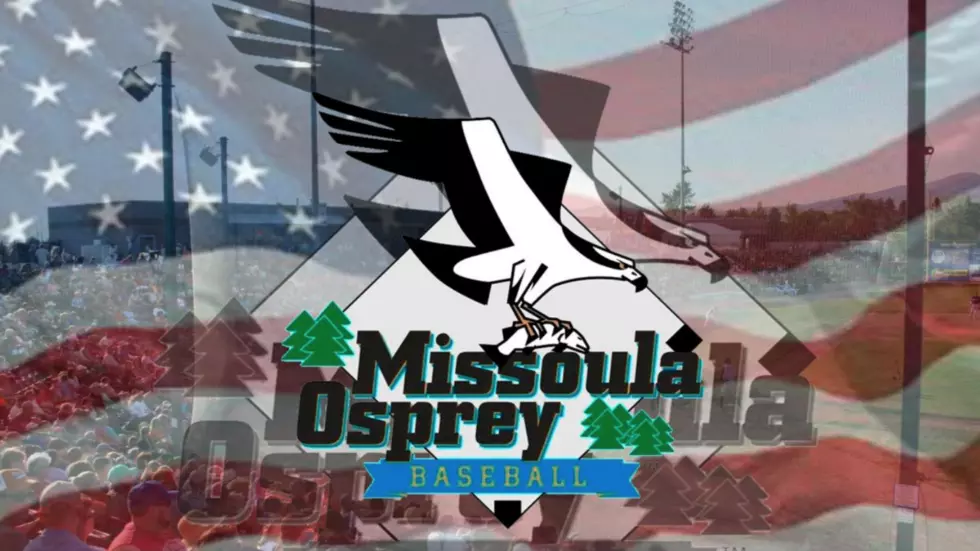 Missoula Osprey Are Renaming The Team – Submit Your Suggestion