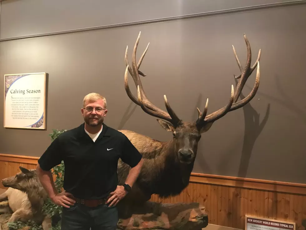 Montana Record Elk on Display in Missoula at RMEF