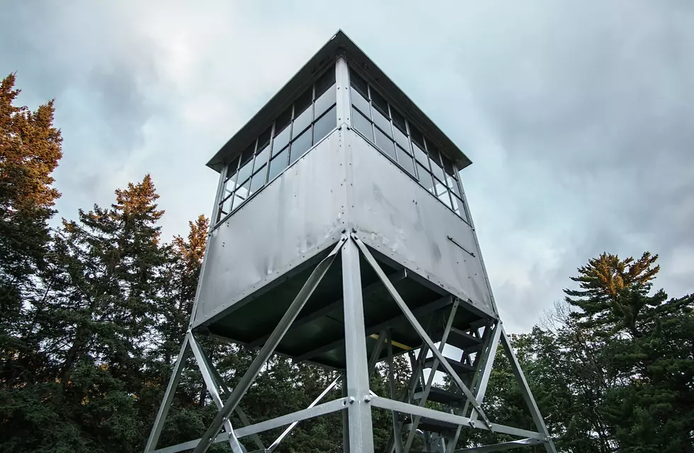 Montana Forest Fire Lookout Tower Damaged, Burglarized