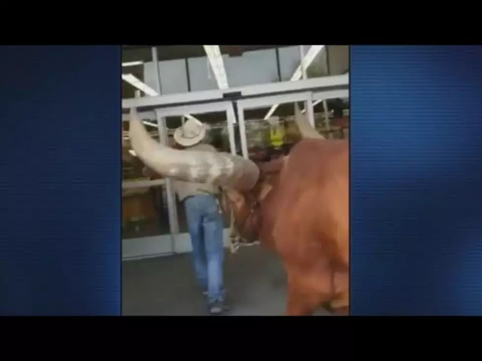 Texas Man Takes Steer on a Leash Into Petco