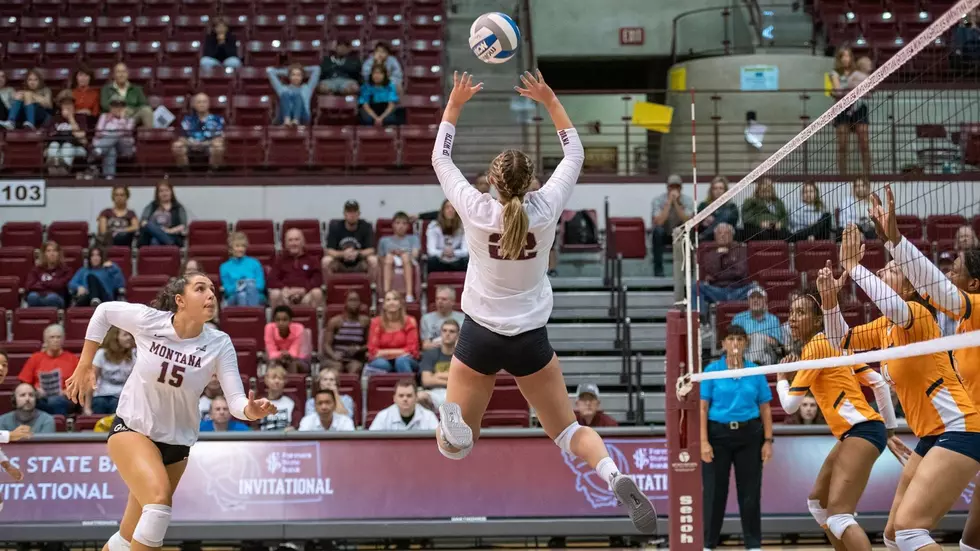 Two For One Tickets to Griz Cat Volleyball Tuesday
