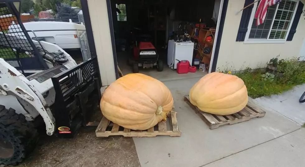 A Listener Sent Us Some Gourd-ous Pictures