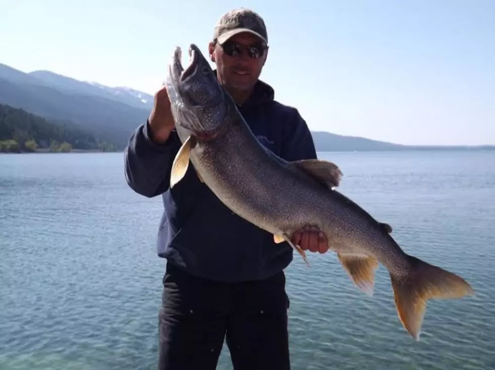 Lake Trout Fishing Tournament on Flathead Lake Postponed