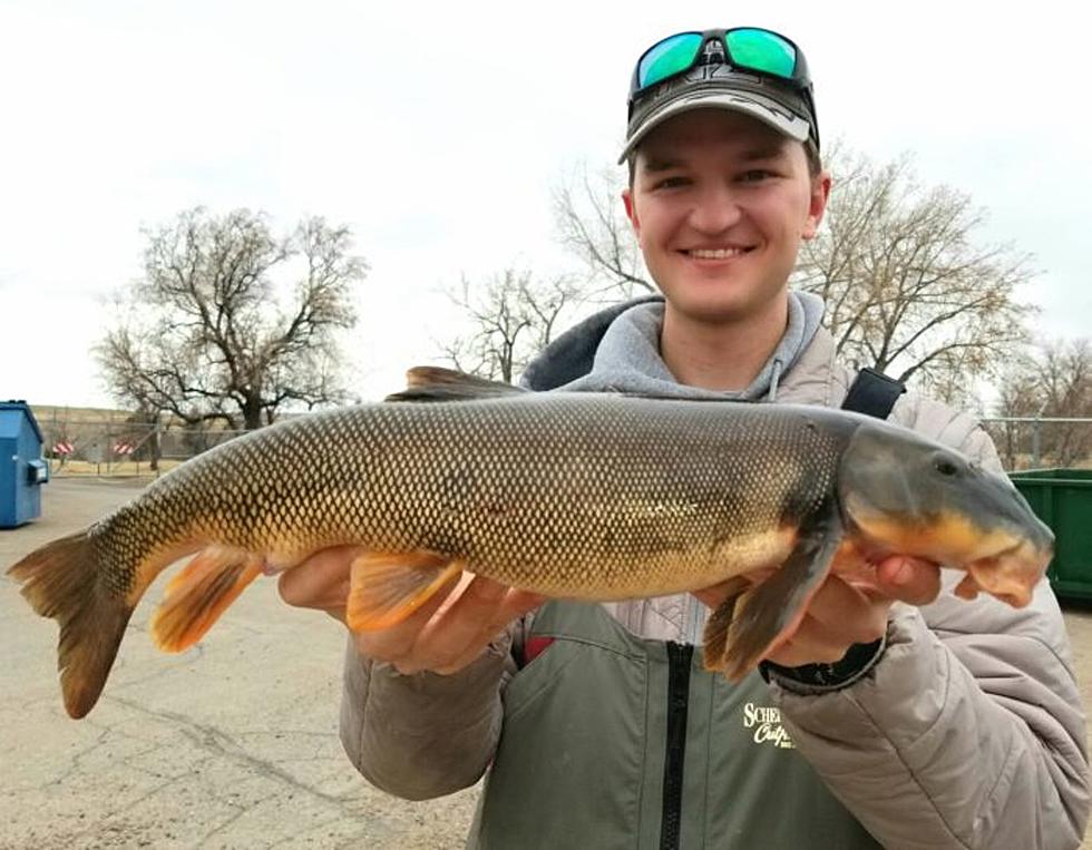 Another Montana State Record Fish Has Been Caught