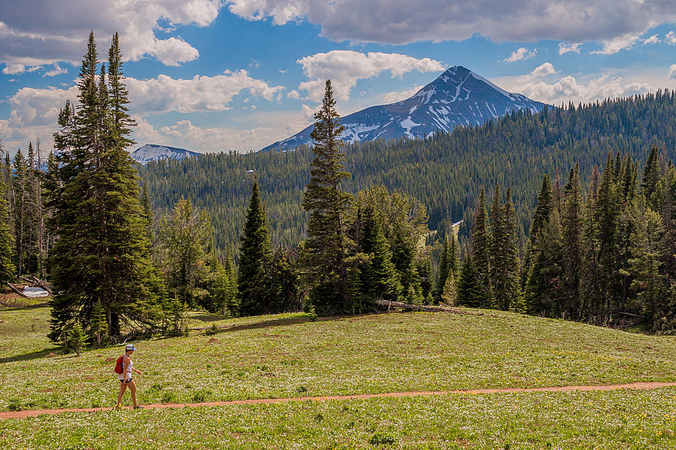 Airbnb Will Let You Have a Big Sky Montana Mountain to Yourself!