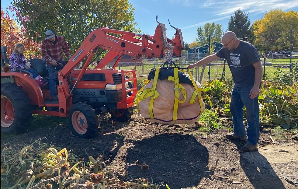 Awesome! Missoula Man’s Pumpkin Surpasses 700 Pounds