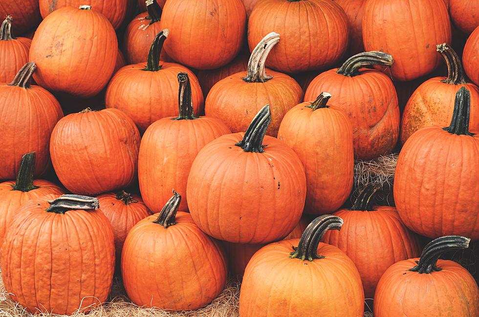 Buy a Pumpkin and One Will Be Donated to a Missoula Child in Need