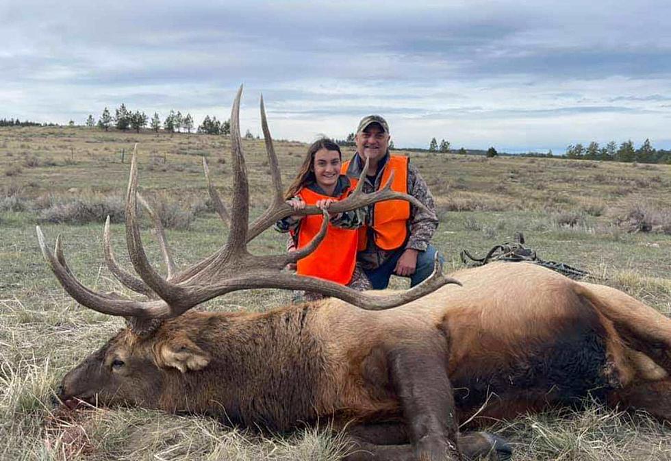 High School Student Downs Massive Elk and Other MT Hunting News