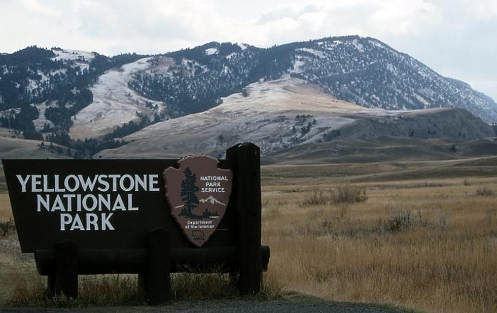 Violent Yellowstone National Park Tourist Receives His Sentence