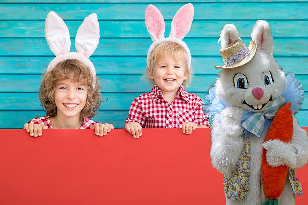 Hop to It! Here's Your Easter Bunny Photo Info for Southgate Mall